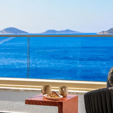 Villa Newly Renovated 30 Metres From The *