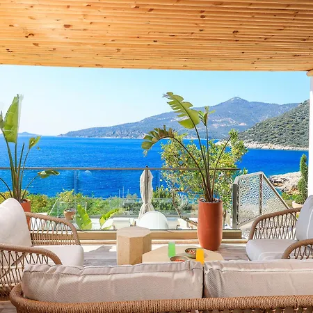 Newly Renovated 30 Metres From The