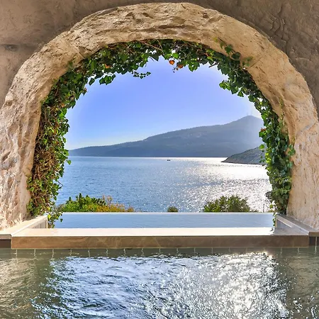 Newly Renovated By The Villa